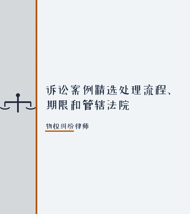 诉讼案例精选处理流程、期限和管辖法院